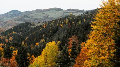 Панорамирование вниз