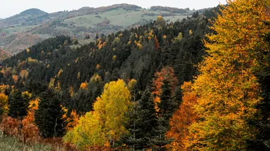 Панорамирование вниз