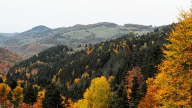 Панорамирование влево
