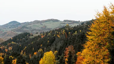 Панорамирование вверх