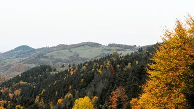 Панорамирование вверх