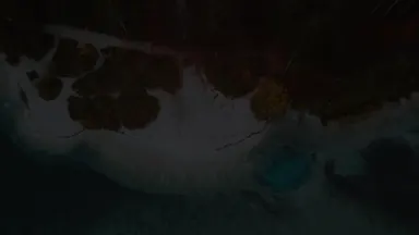 Проявление из чёрного